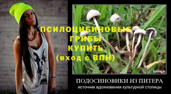 дживик Медвежьегорск