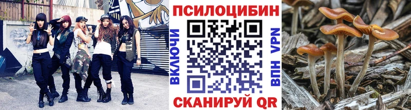 Псилоцибиновые грибы Psilocybine cubensis Унеча