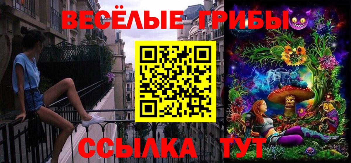 Унеча  Псилоцибиновые грибы мухоморы  Псилоцибиновые грибы мухоморы  Вход с VPN 