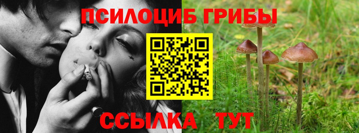 Псилоцибиновые грибы мицелий Унеча